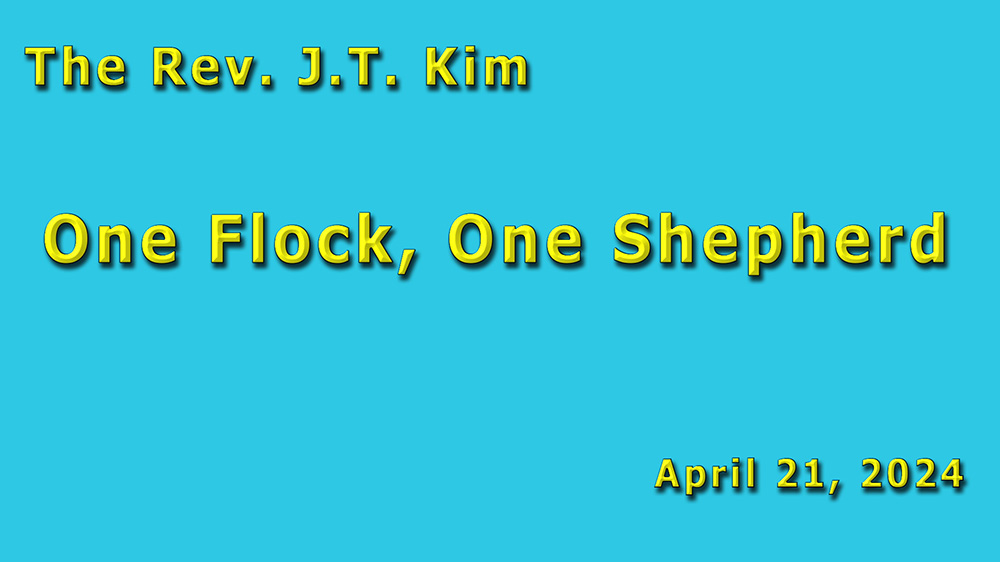 One Flock, One Shepherd Image